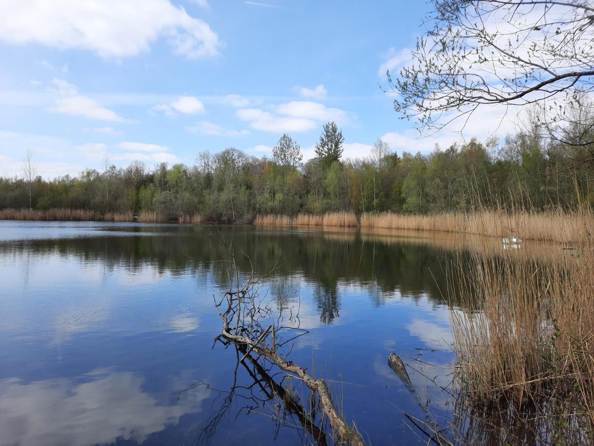 Ferienhaus Am See Goch Kessel الغرفة الصورة