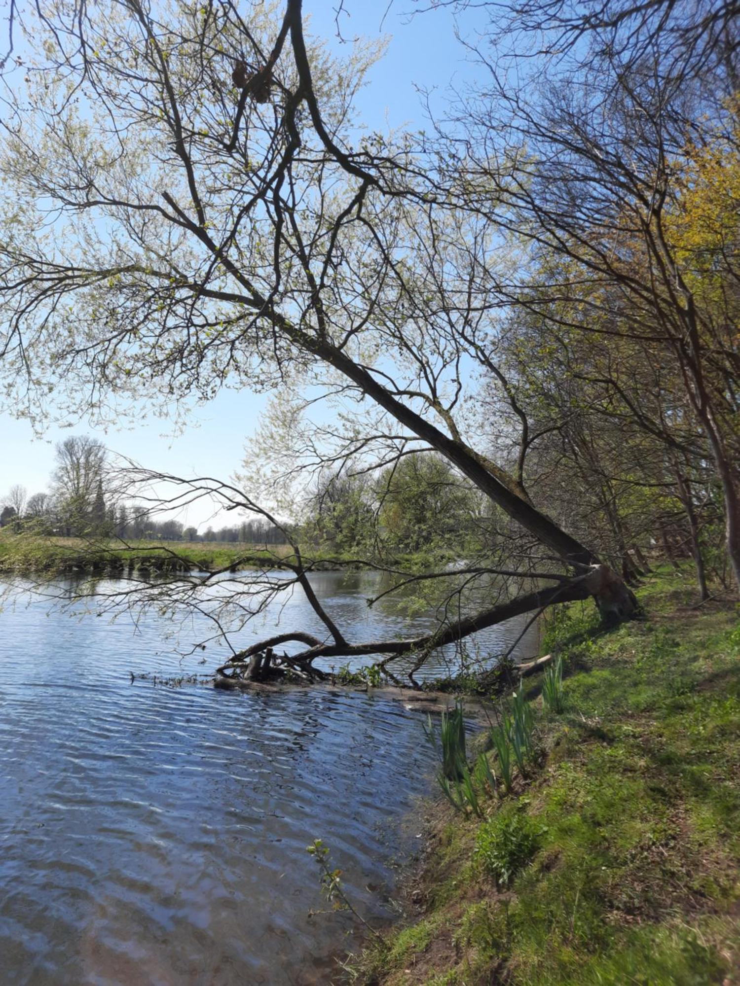 Ferienhaus Am See Goch Kessel الغرفة الصورة